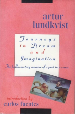 Image result for Artur Lundquist, Journeys in Dream and Imagination,